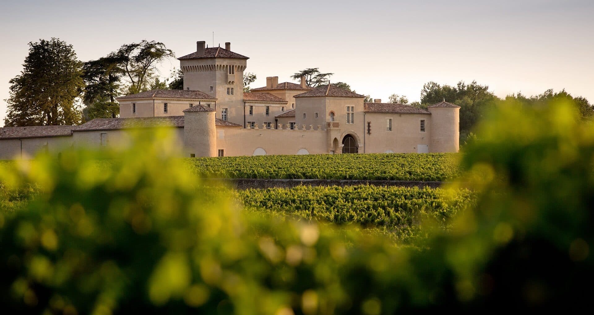The honey-coloured stone of Château Lafaurie-Peyraguey, fourteenth-century walls rising above its Sauternes vineyard.