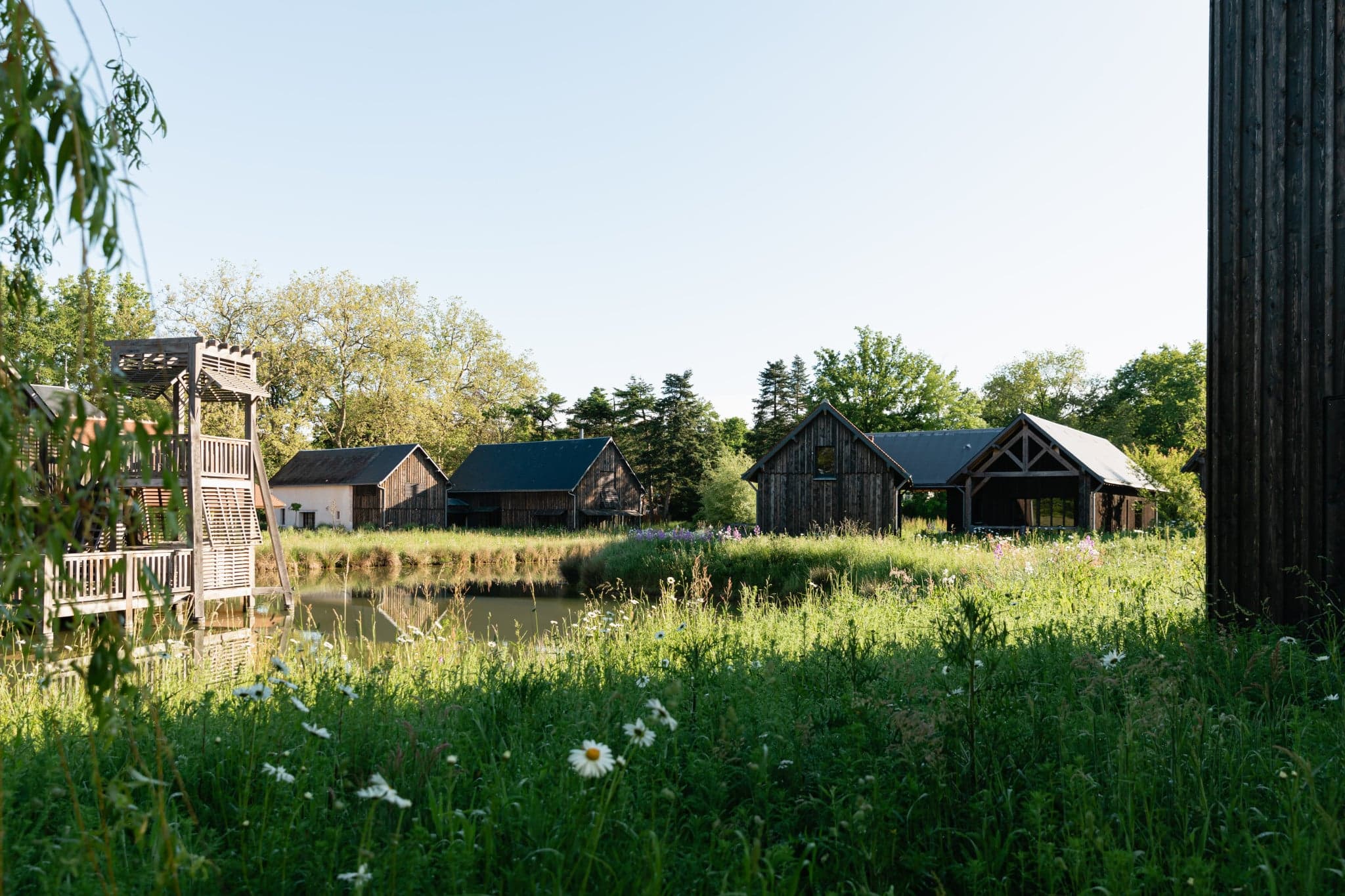 A long timber-and-stone cottage on the edge of a marsh, tall grasses and meadow flowers in the foreground.