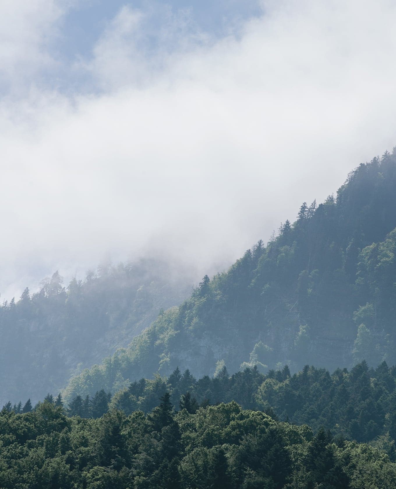 Cloud lifting off the wooded slopes above the lake at midday.